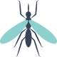 Mosquito Control